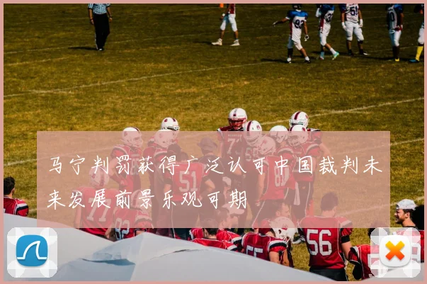 马宁判罚获得广泛认可中国裁判未来发展前景乐观可期
